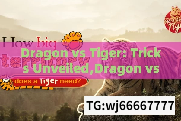 Dragon vs Tiger: Tricks Unveiled,Dragon vs Tiger Tricks: The Ultimate Guide to SE 51000